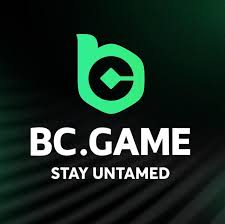 BCStavka Casino Explained Your Comprehensive Guide