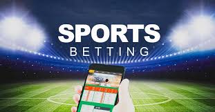 Betwinner Your Gateway to Exciting Online Betting Experience