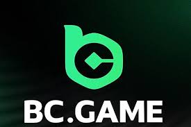 Step-by-Step Guide to BC.Game IN Registration
