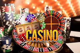Online Casino Spindog Your Ultimate Gaming Destination 1557237565