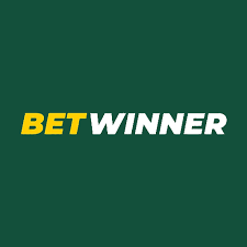 BetWinner vs BC.Game A Comparative Review for Online Gamblers
